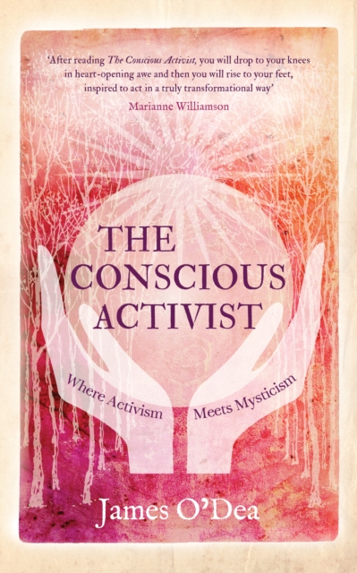 Conscious Activist, EPUB eBook