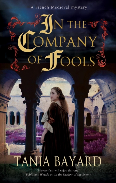 In the Company of Fools, Paperback / softback Book