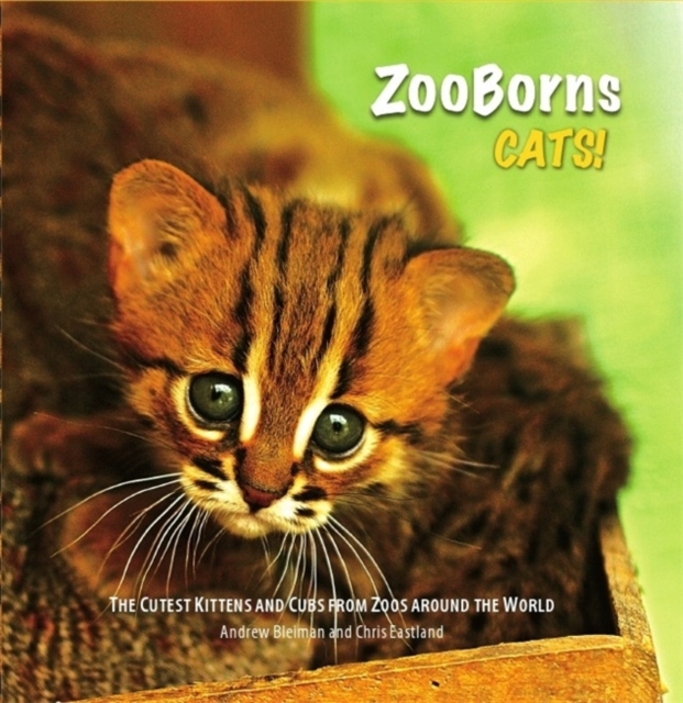 ZooBorns: Cats : The Newest and Cutest Exotic Cats from Zoos around the World!, Hardback Book