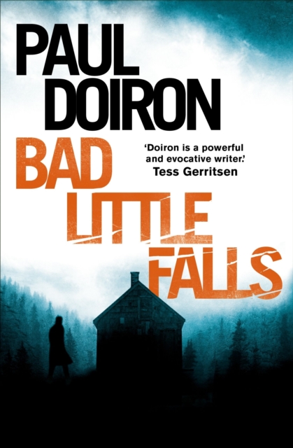 Bad Little Falls, EPUB eBook