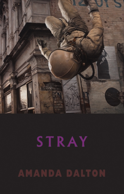 Stray, EPUB eBook