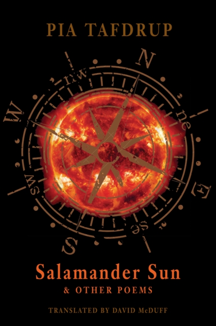 Salamander Sun and other poems, EPUB eBook