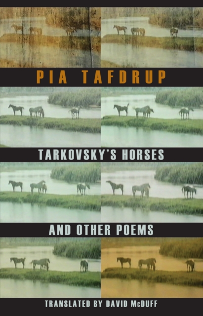 Tarkovsky's Horses and other poems, EPUB eBook