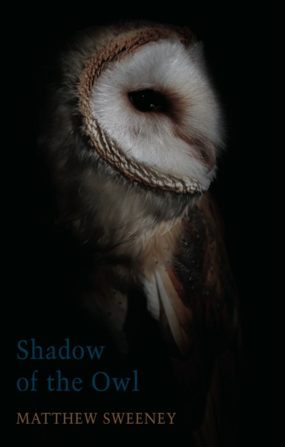 Shadow of the Owl, EPUB eBook