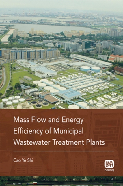 Mass Flow and Energy Efficiency of Municipal Wastewater Treatment Plants, PDF eBook