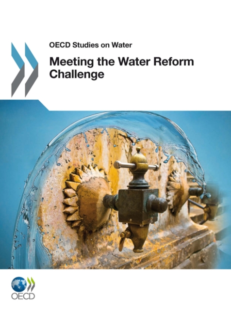 Meeting the Water Reform Challenge, PDF eBook