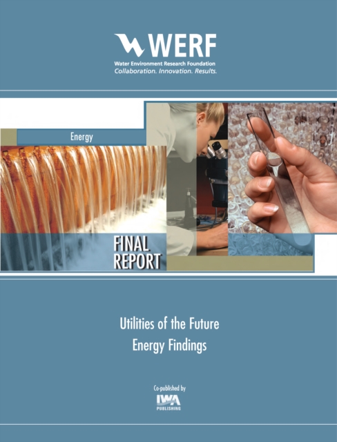 Utilities of the Future Energy Findings, PDF eBook