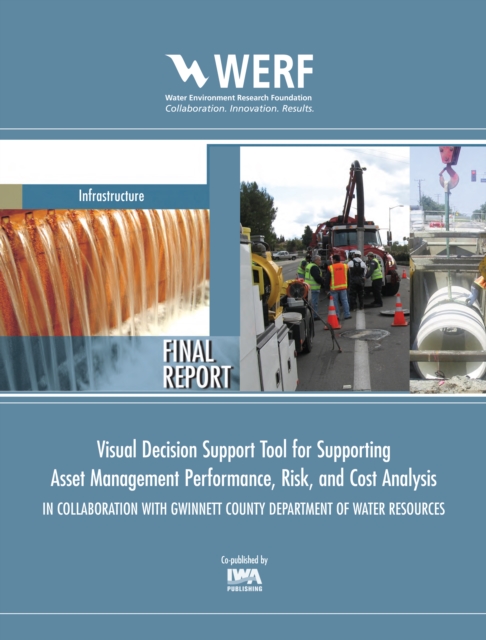 Visual Decision Support Tool for Supporting Asset Management Performance, Risk, and Cost Analysis In Collaboration with Gwinnett County Department of Water Resources, PDF eBook
