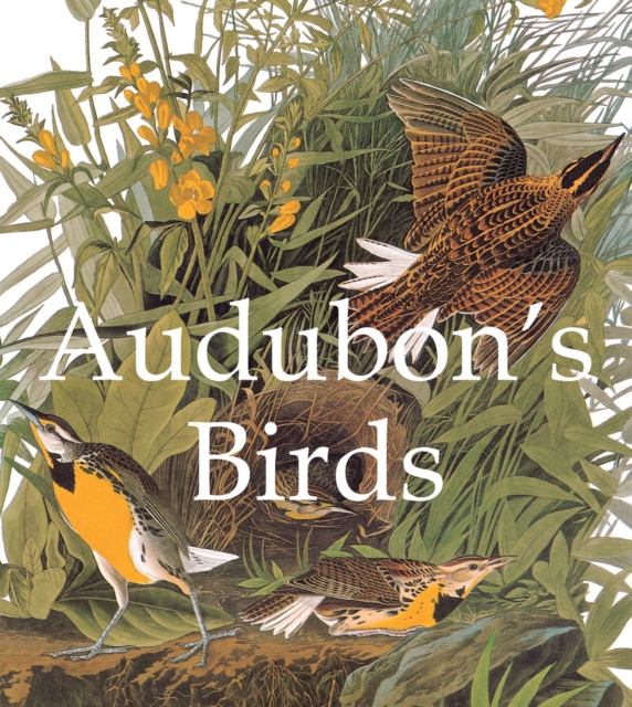 Audubon's Birds, PDF eBook
