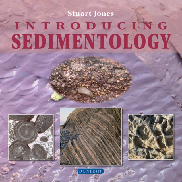 Introducing Sedimentology, Paperback / softback Book
