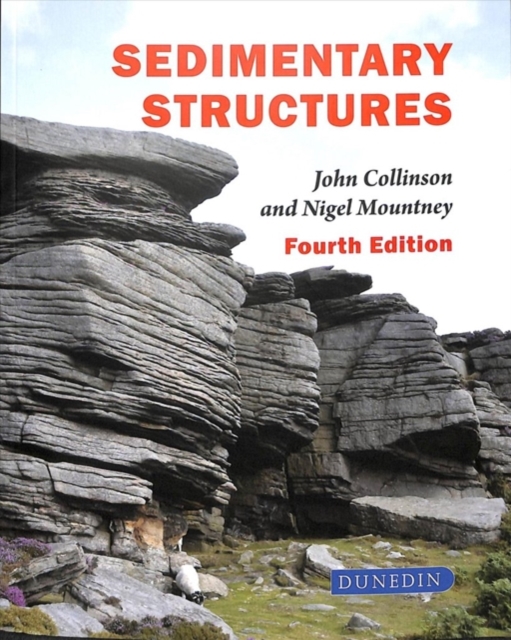 Sedimentary Structures, Paperback / softback Book