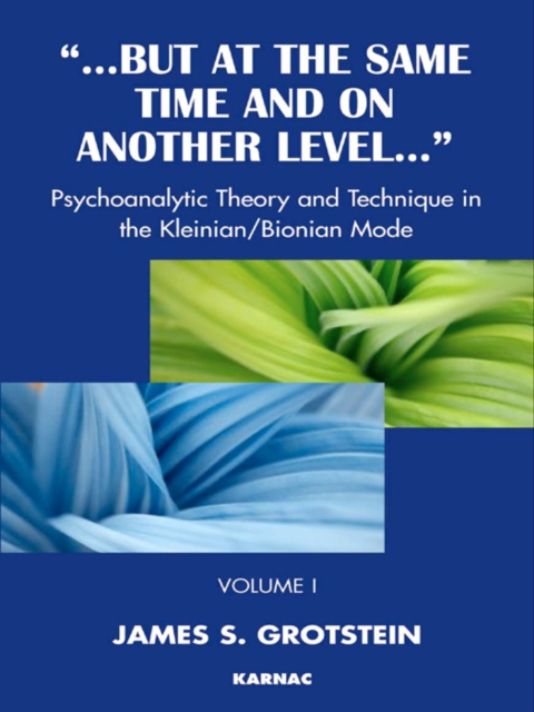 But at the Same Time and on Another Level : Psychoanalytic Theory and Technique in the Kleinian/Bionian Mode, EPUB eBook