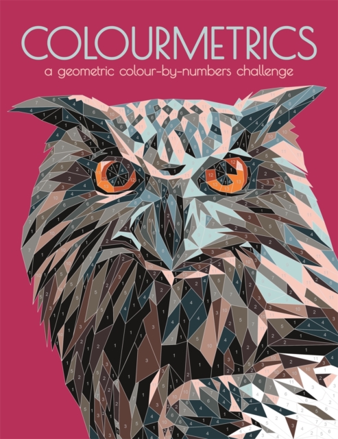 Colourmetrics : A Geometric Colour by Numbers Challenge, Paperback / softback Book