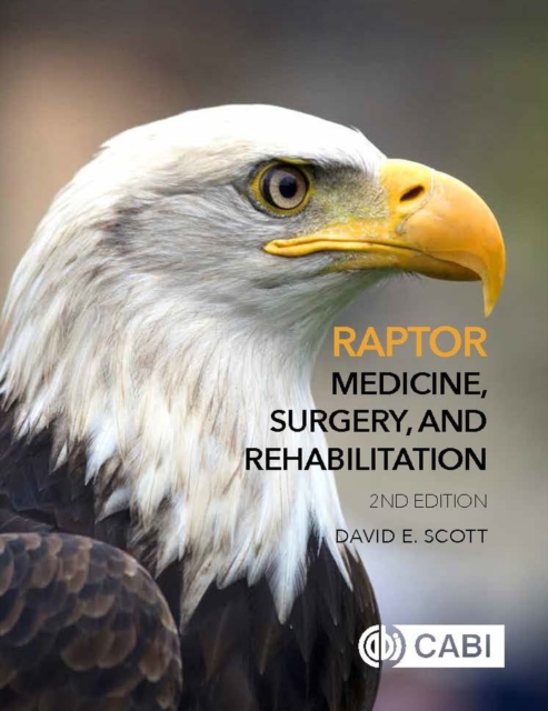 Raptor Medicine, Surgery, and Rehabilitation, Hardback Book