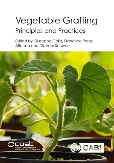 Vegetable Grafting : Principles and Practices, Hardback Book