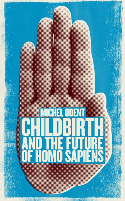 Childbirth and the Future of Homo Sapiens, EPUB eBook