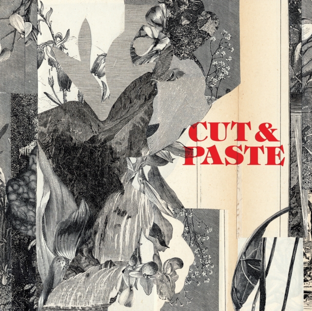 Cut & Paste (paperback) : 21st-Century Collage, Paperback / softback Book