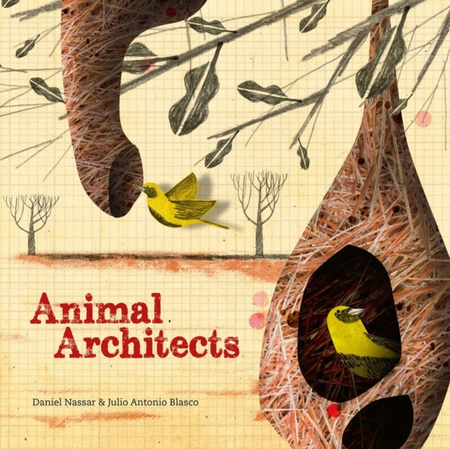 Animal Architects : Amazing Animals Who Build Their Homes, Hardback Book