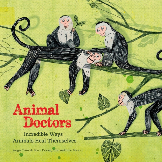 Animal Doctors: Incredible Ways Animals Heal Themselves, Hardback Book
