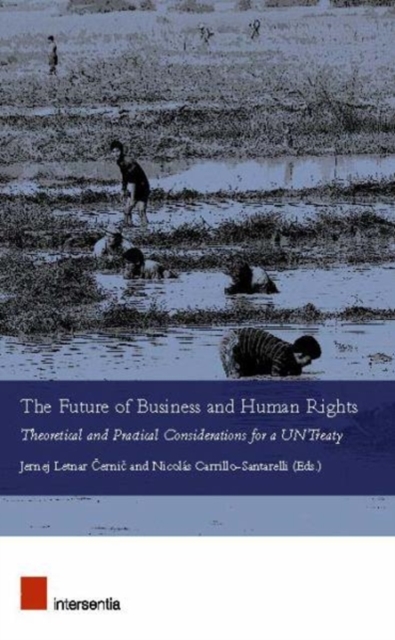 The Future of Business and Human Rights : Theoretical and Practical Considerations for a UN Treaty, Paperback / softback Book