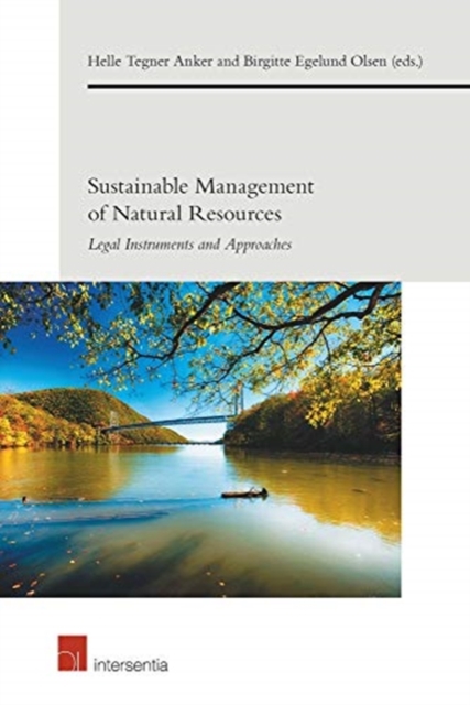 Sustainable Management of Natural Resources : Legal Instruments and Approaches, Paperback / softback Book