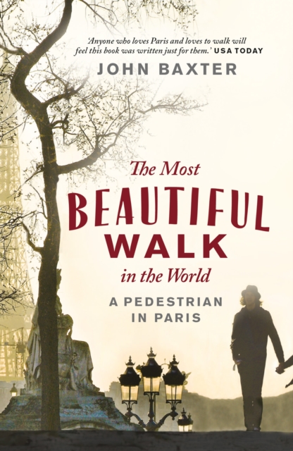 The Most Beautiful Walk in the World : A Pedestrian in Paris, Paperback / softback Book
