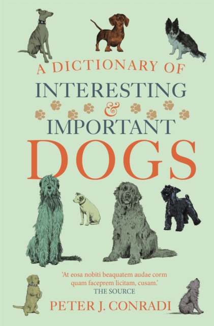 A Dictionary of Interesting and Important Dogs : A Wonderful and Witty Homage to Man's Most Faithful Friend, Paperback / softback Book