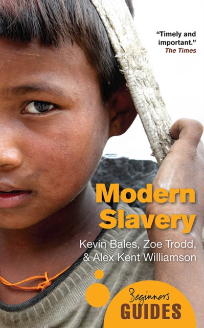 Modern Slavery : A Beginner's Guide, EPUB eBook