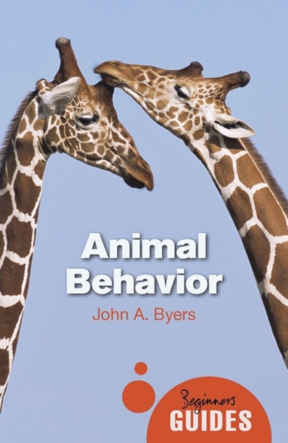 Animal Behavior : A Beginner's Guide, Paperback / softback Book
