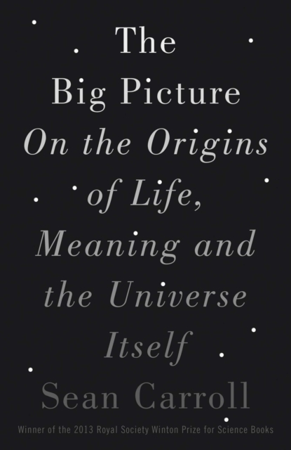 The Big Picture : On the Origins of Life, Meaning, and the Universe Itself, EPUB eBook