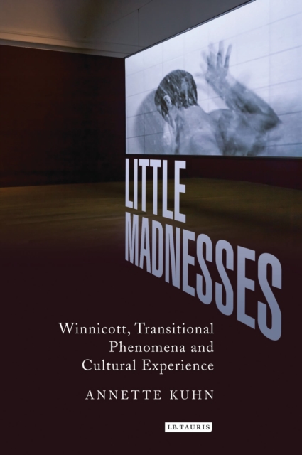 Little Madnesses : Winnicott, Transitional Phenomena & Cultural Experience, Paperback / softback Book