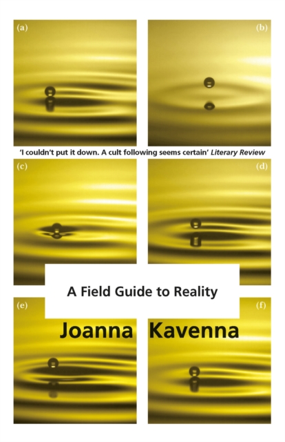 A Field Guide to Reality, Paperback / softback Book