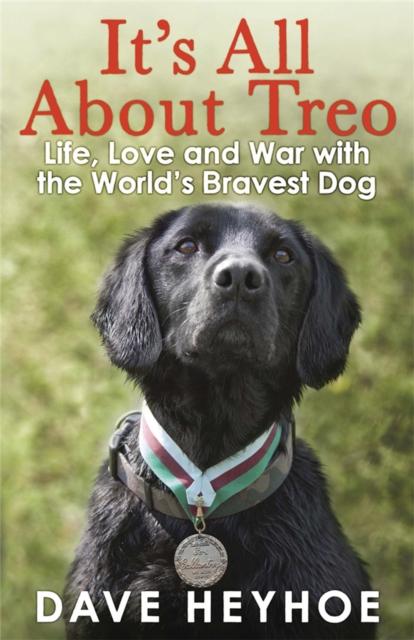 It's All About Treo : Life and War with the World's Bravest Dog, Paperback / softback Book