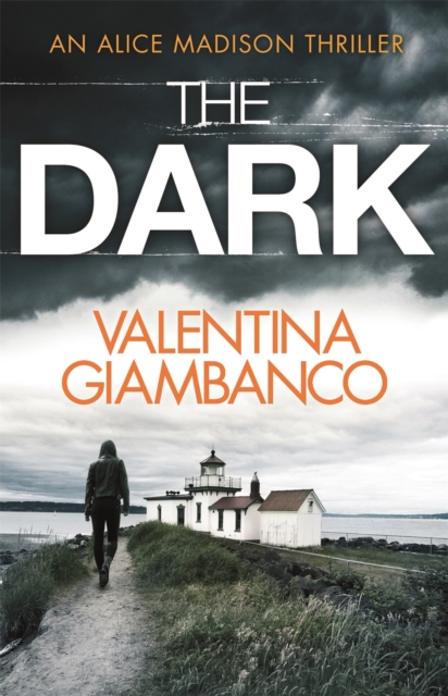 The Dark : a wildly addictive thriller perfect for crime fiction fans, Paperback / softback Book