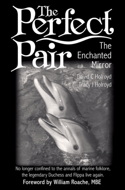 The Perfect Pair : The Enchanted Mirror, Hardback Book