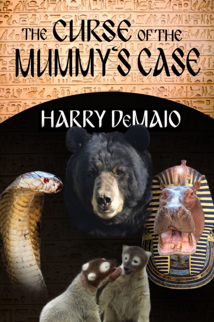 The Curse of the Mummy's Case, EPUB eBook