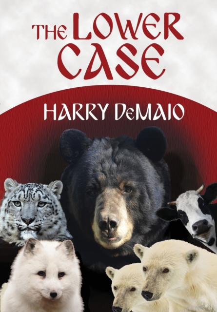 The Lower Case : Octavius Bear Book 4, Paperback Book