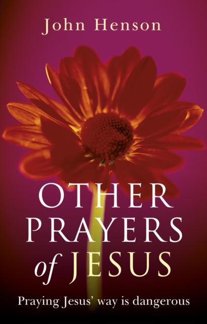 Other Prayers of Jesus : Praying Jesus' Way is Dangerous, EPUB eBook