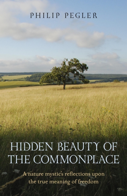 Hidden Beauty of the Commonplace - A nature mystic`s reflections upon the true meaning of freedom, Paperback / softback Book