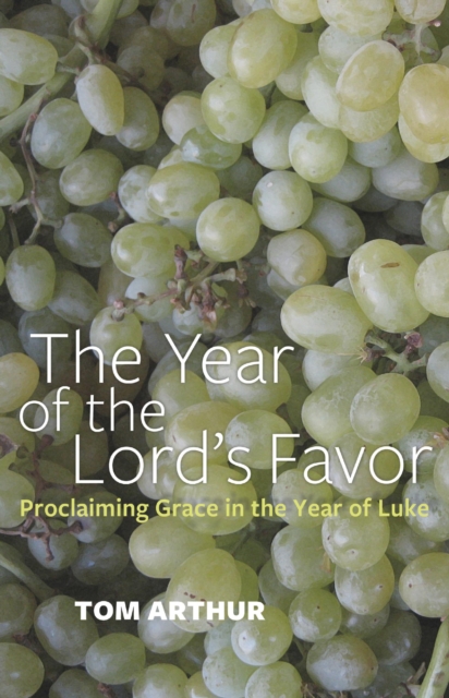 Year of the Lord's Favor : Proclaiming Grace in the Year of Luke, EPUB eBook