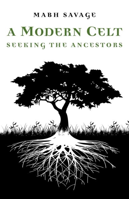 Modern Celt : Seeking the Ancestors, EPUB eBook