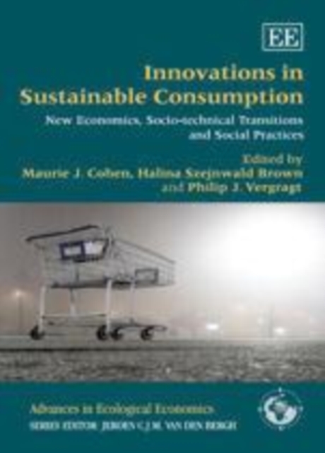 Innovations in Sustainable Consumption : New Economics, Socio-technical Transitions and Social Practices, PDF eBook