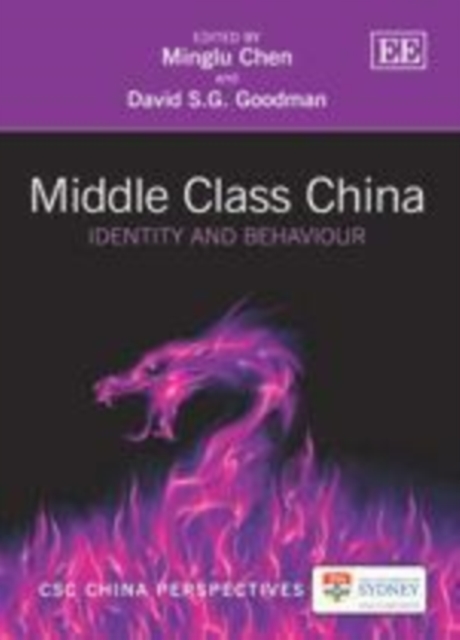 Middle Class China : Identity and Behaviour, PDF eBook