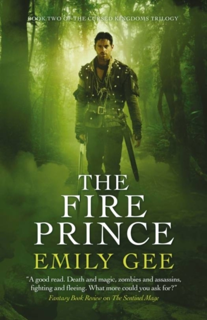 The Fire Prince : Book 2 of the Sentinel Mage Trilogy, Paperback / softback Book