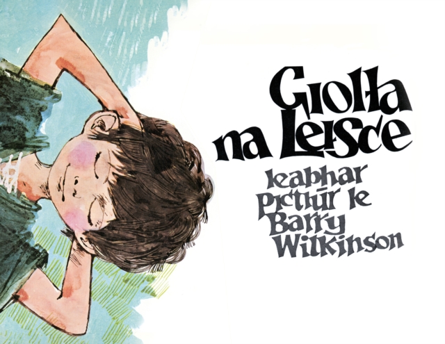 Giolta na Leisce : Leabhar Pictiur le Barry Wilkinson, Hardback Book