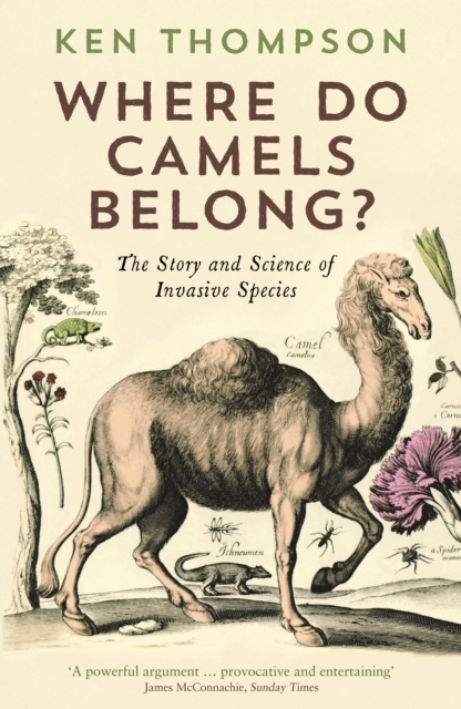 Where Do Camels Belong? : The story and science of invasive species, Paperback / softback Book