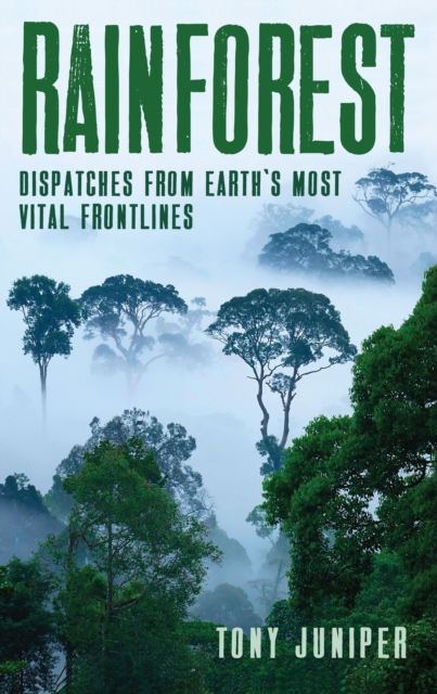 Rainforest : Dispatches from Earth's Most Vital Frontlines, Hardback Book