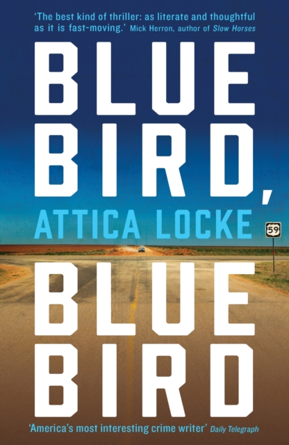 Bluebird, Bluebird, Paperback / softback Book