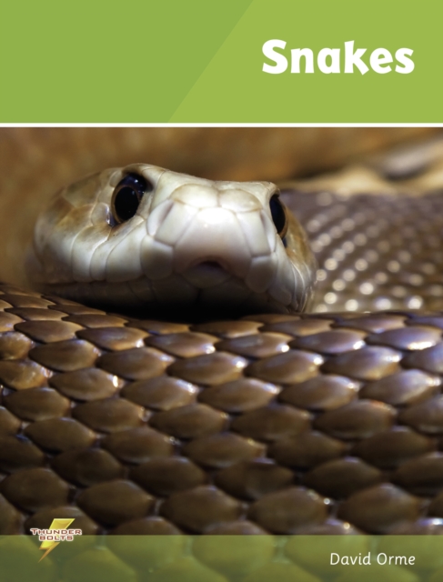 Snakes : Set 1, Paperback / softback Book