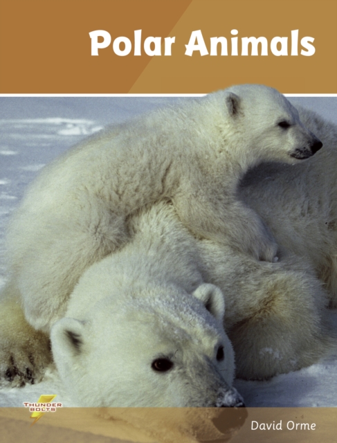 Polar Animals (ebook) : Set 4, PDF eBook